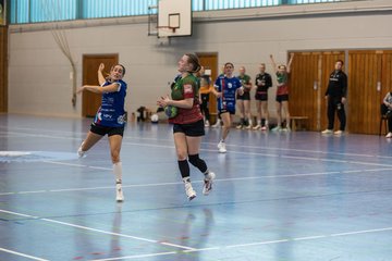 Bild 306 - F HSG Kremperheide/Muensterdorf - HSG Holstein Kiel/Kronshagen : Ergebnis: 31:26